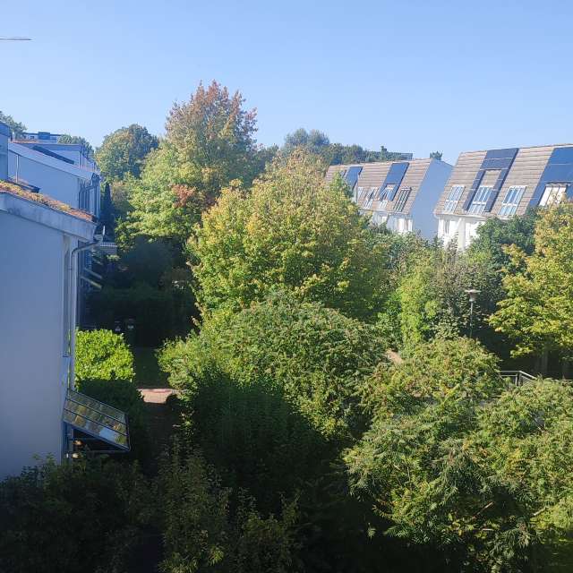 Bus. Weather forecasts with beautiful photos by Tercis Photos in Ettlingen