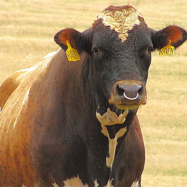 天气预报，带Step_Gently精美的照片