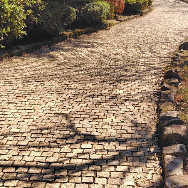 秋. Weather forecasts with beautiful photos by umemui Photos in World