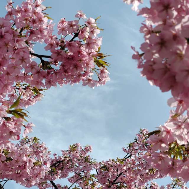 Weather Photos in World. Weather forecasts with beautiful photos by umemui