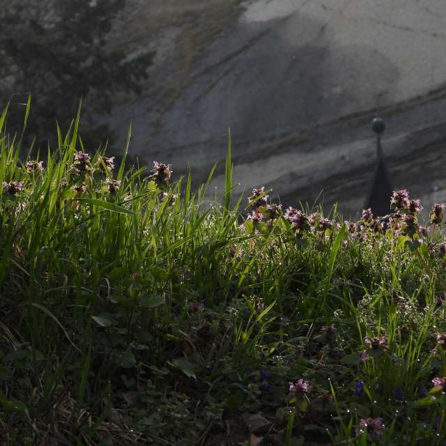 Braník的Weather. 天气预报，带Vasek325精美的照片照片