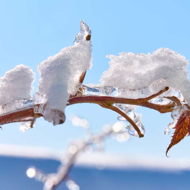 Прогнозы погоды с чудесными фотографиями, сделанными Aleh_Narushevich