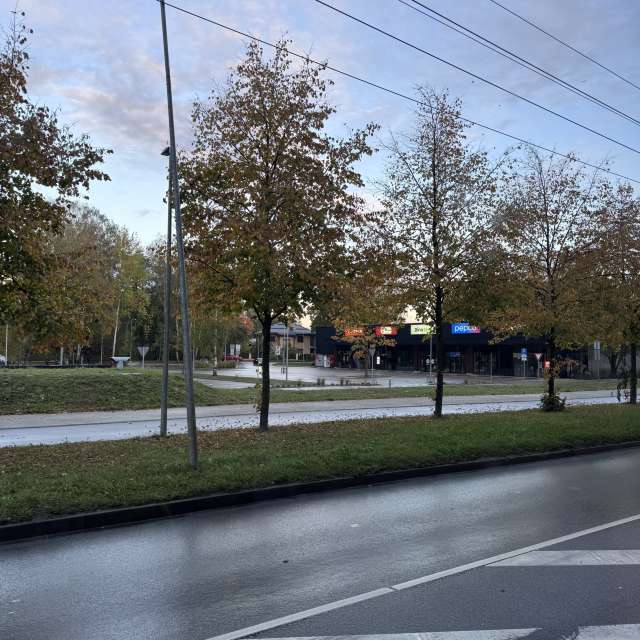 Grass. Weather forecasts with beautiful photos by Svet-Lana Photos in Rīga