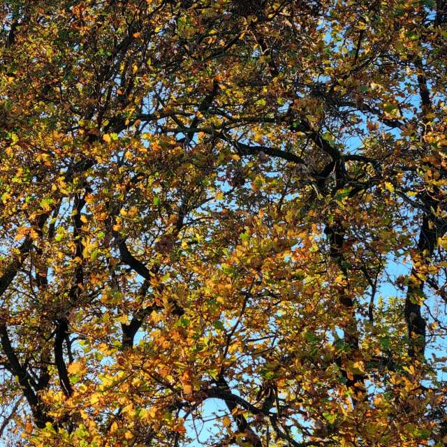 Greetの美しい写真による天気予報