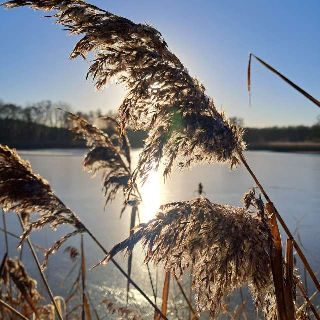 Фотографии Погоды в Мир. Прогнозы погоды с чудесными фотографиями, сделанными fwerner