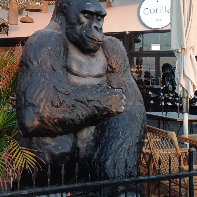 天气预报，带Zaza精美的照片