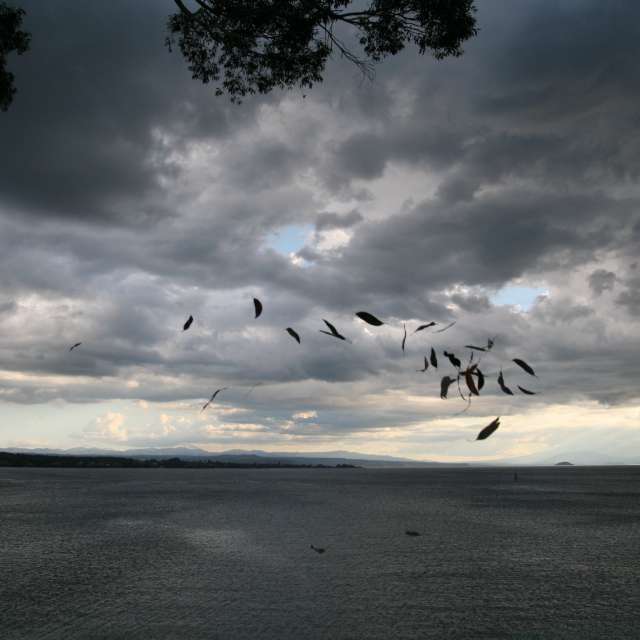 Fotos del Weather. Pronósticos del tiempo con hermosas fotos de Mauricio T Blanco en Nueva Zelanda