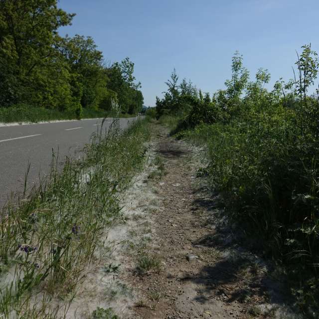 Fotos Rua. Previsões do tempo com lindas fotos de Vasek325 em Praha 12