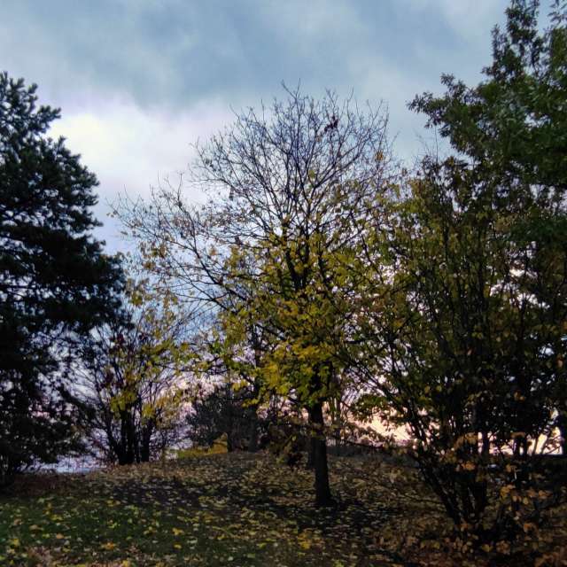 Front. Wettervorhersagen mit schönen Fotos von Kripo Fotos Niederösterreich