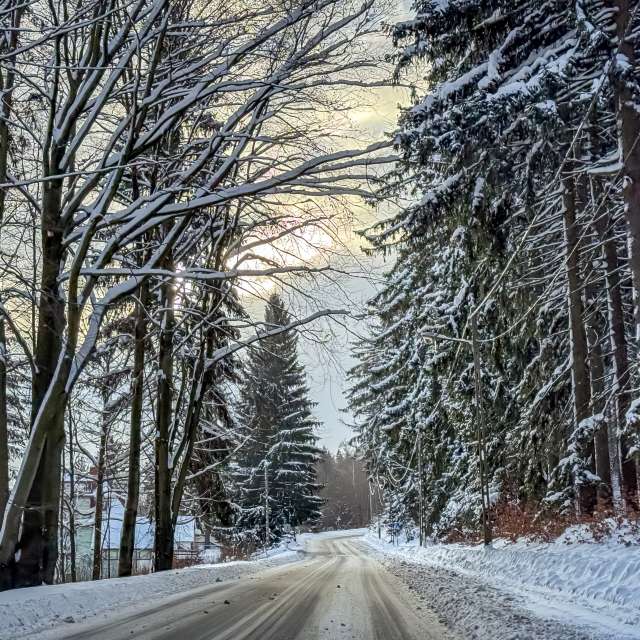 Winter. Weather forecasts with beautiful photos by LMukasz Photos in World