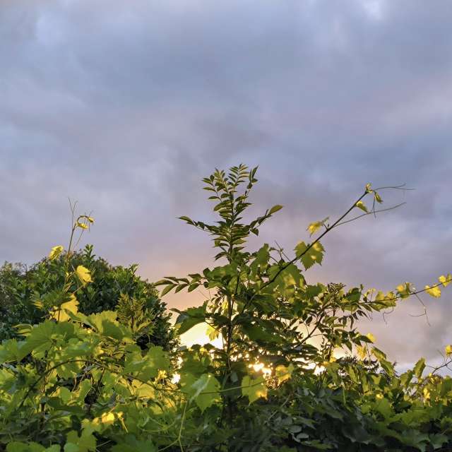 Cloudy. Weather forecasts with beautiful photos by agOost Photos in World