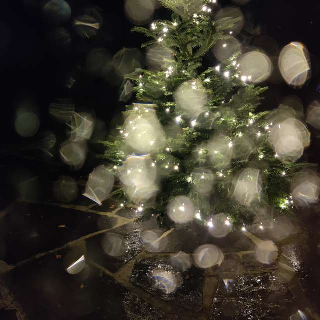 Fotos Janela. Previsões do tempo com lindas fotos de Zorrra em Kladow