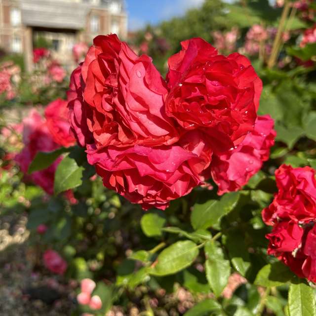 Weather forecasts with beautiful photos by grasielacf