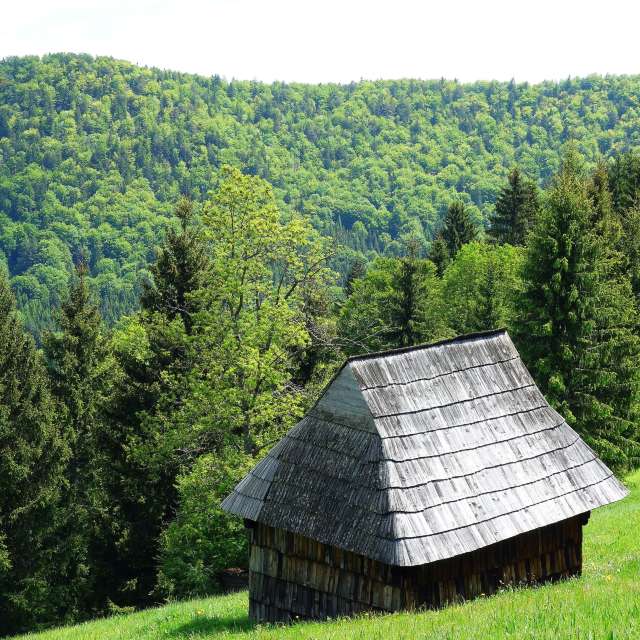 Weather forecasts with beautiful photos by steve2025s