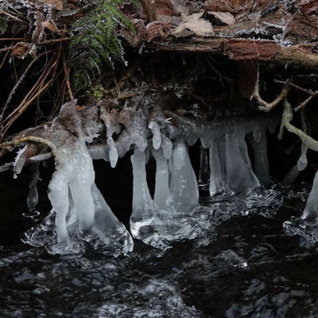 Fotos Gelo. Previsões do tempo com lindas fotos de Vasek325 em Praha 12