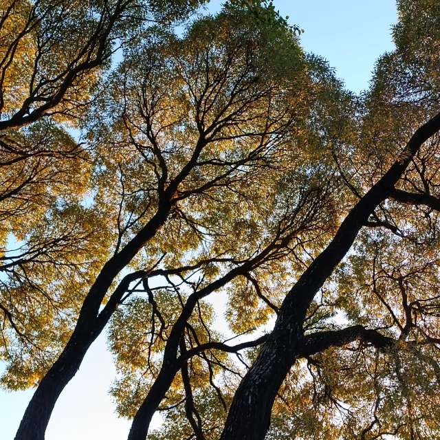 Прогнозы погоды с чудесными фотографиями, сделанными Lena_Glukhova