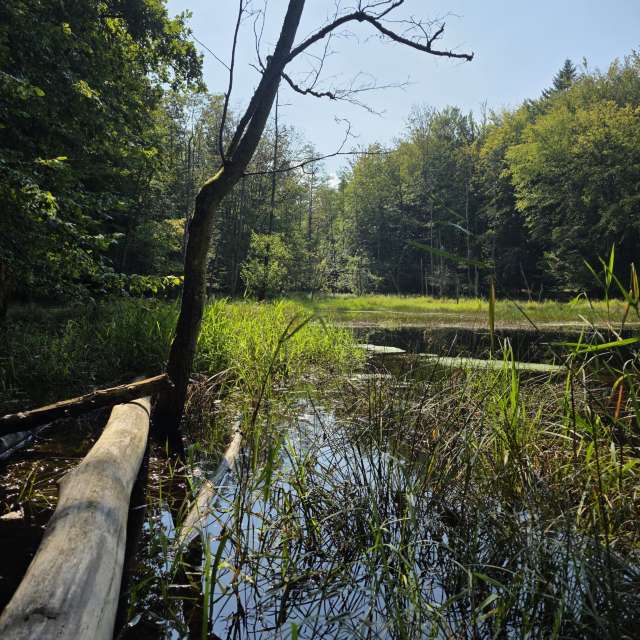 xPrzybyLxの美しい写真による天気予報