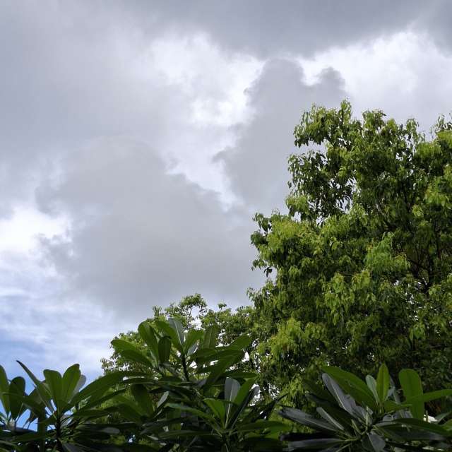 Green. Weather forecasts with beautiful photos by Yvonne Huang Photos in World
