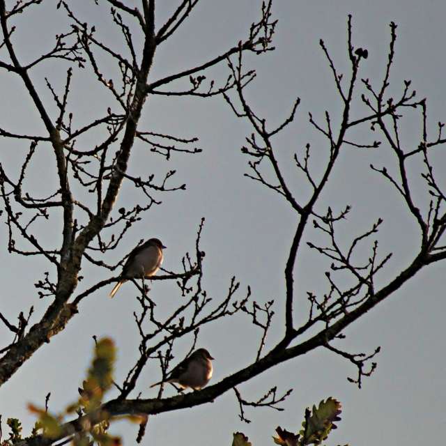 Eating. Weather forecasts with beautiful photos by tony5636 Photos in World