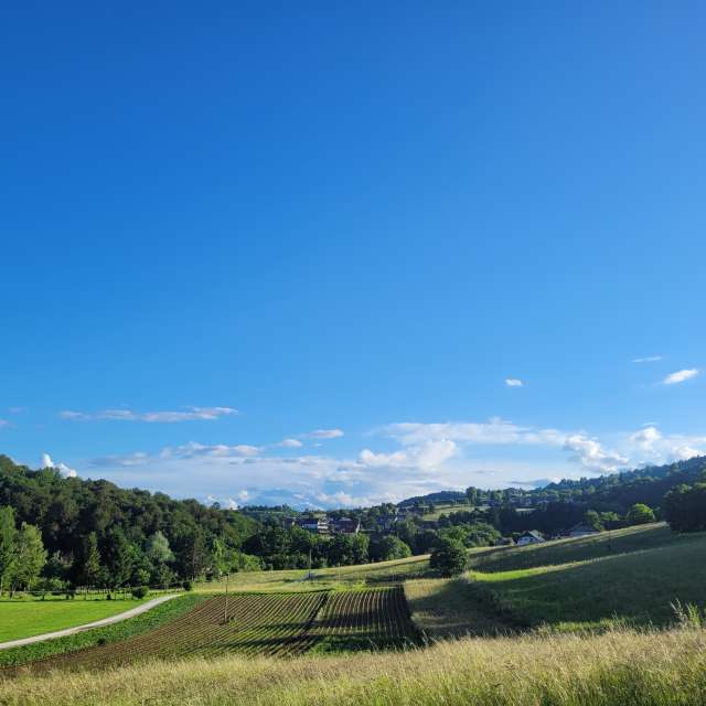 Green. Weather forecasts with beautiful photos by Anamarija Photos in Slovenia