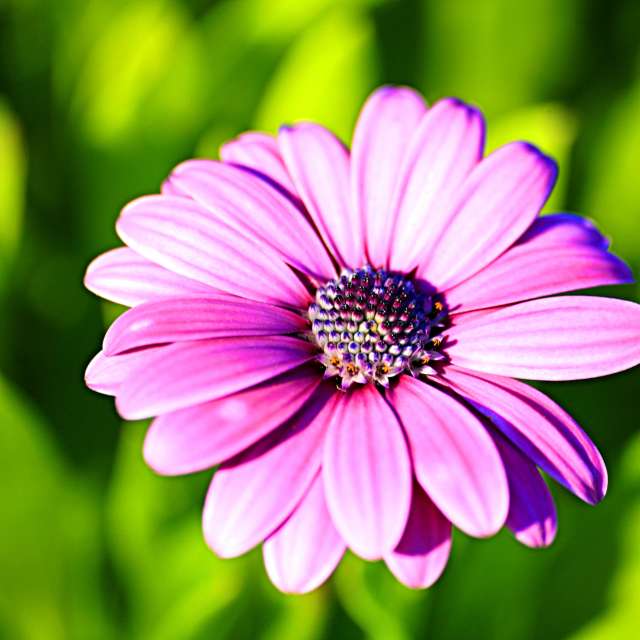 Grass. Weather forecasts with beautiful photos by tony5636 Photos in Calvisson