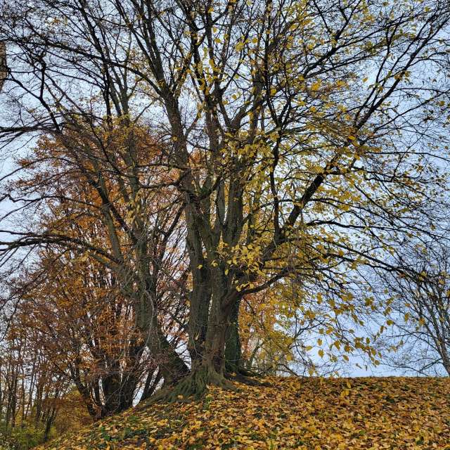 Weather forecasts with beautiful photos by aida-khaldi