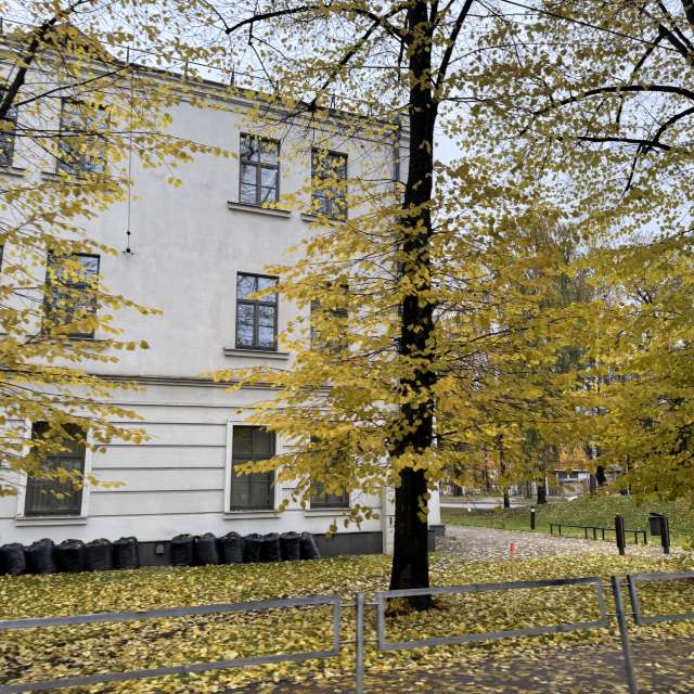 Bench. Weather forecasts with beautiful photos by Svet-Lana Photos in Rīga