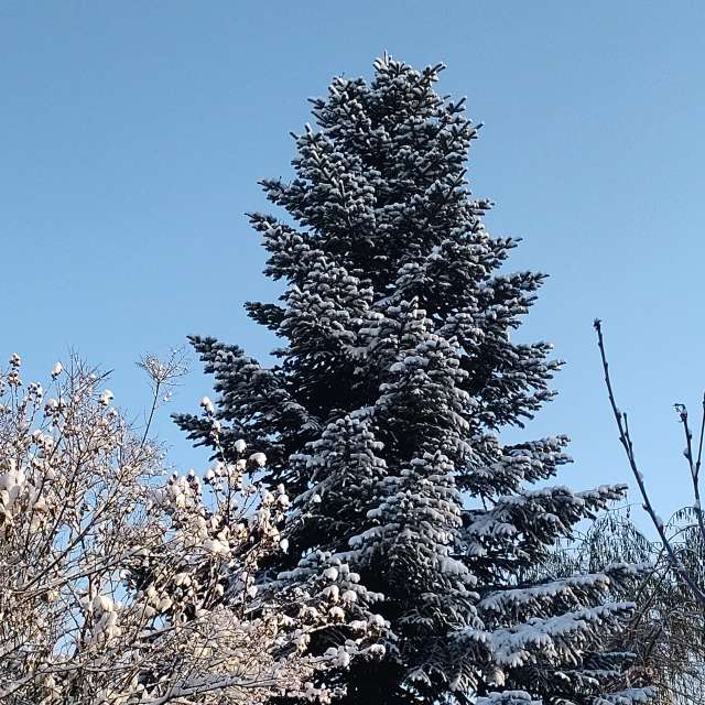 Previsões do tempo com lindas fotos de Clairette