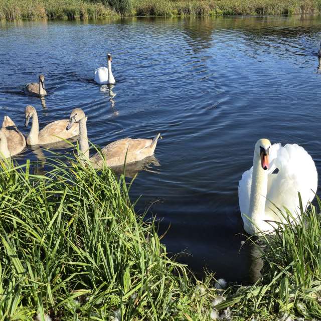 Wettervorhersagen mit schönen Fotos von Andrie