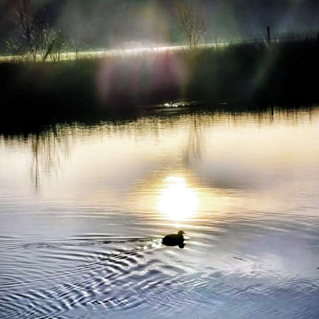 天气预报，带Gweiland精美的照片