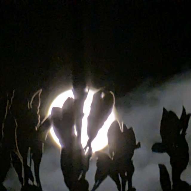 Previsões do tempo com lindas fotos de Roytinez31