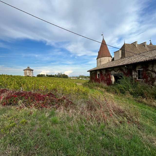 Weather forecasts with beautiful photos by Andbot_