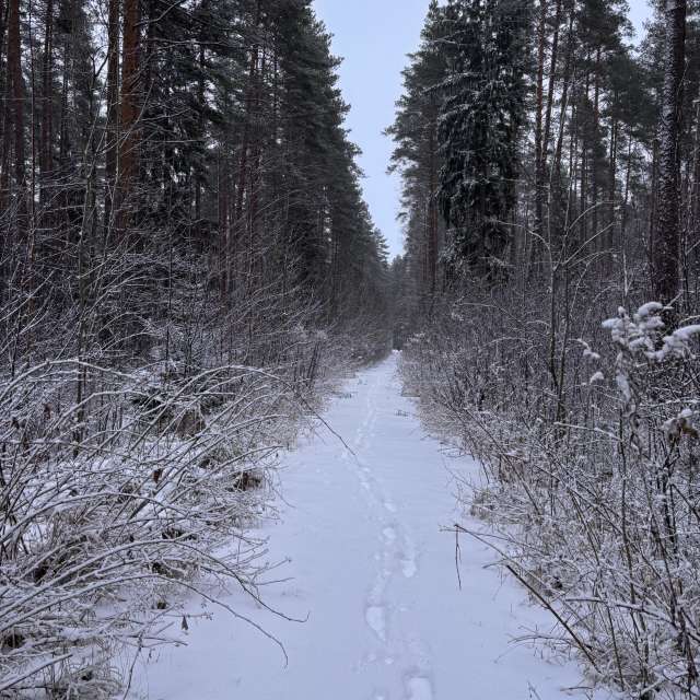 Weather forecasts with beautiful photos by Ewwa393