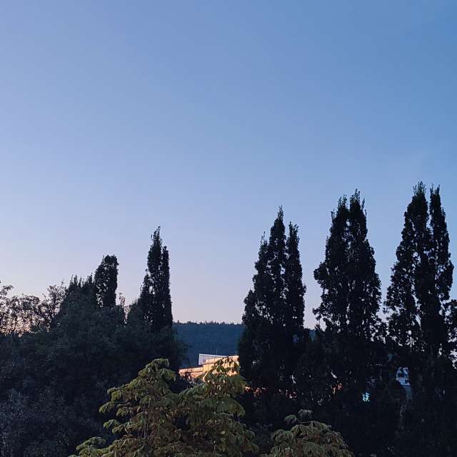 Country. Weather forecasts with beautiful photos by Tercis Photos in Ettlingen