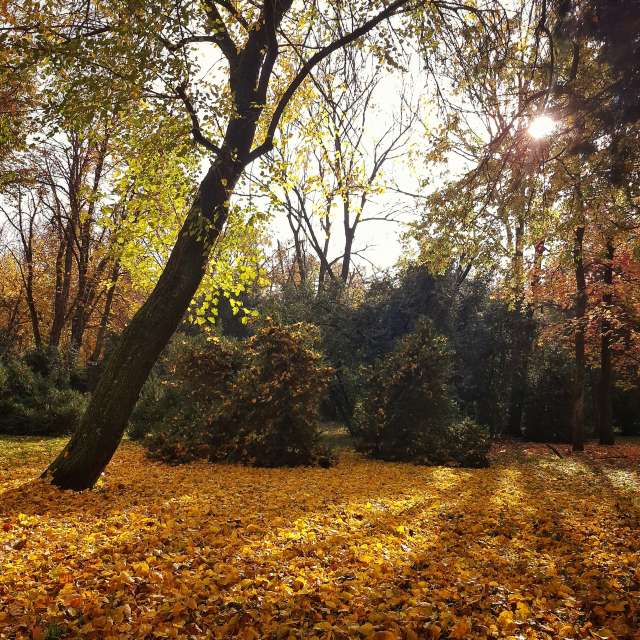 天气预报，带Aleksandar精美的照片