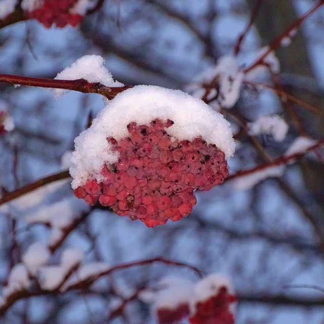 Leaf. Weather forecasts with beautiful photos by Михаил Гавриков Photos in Kharkiv