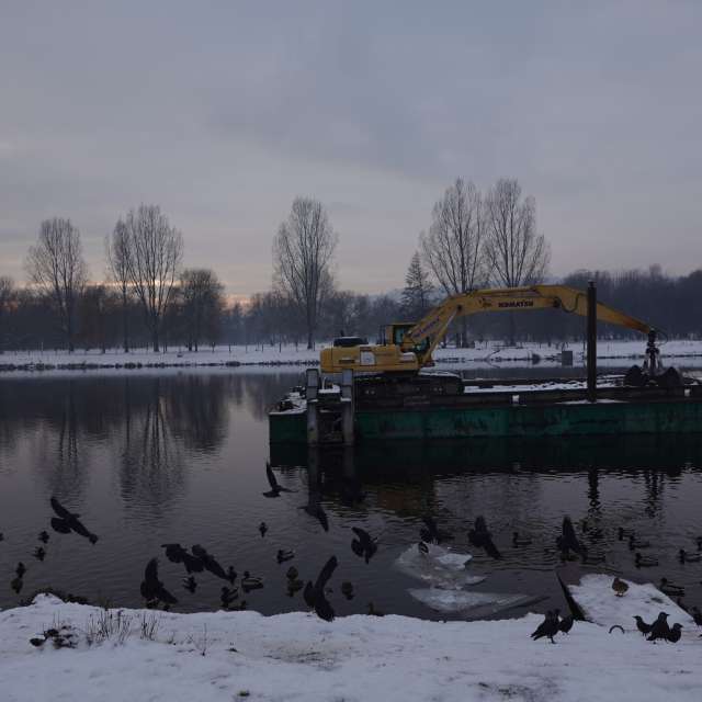 Snow. Weather forecasts with beautiful photos by Vasek325 Photos in World