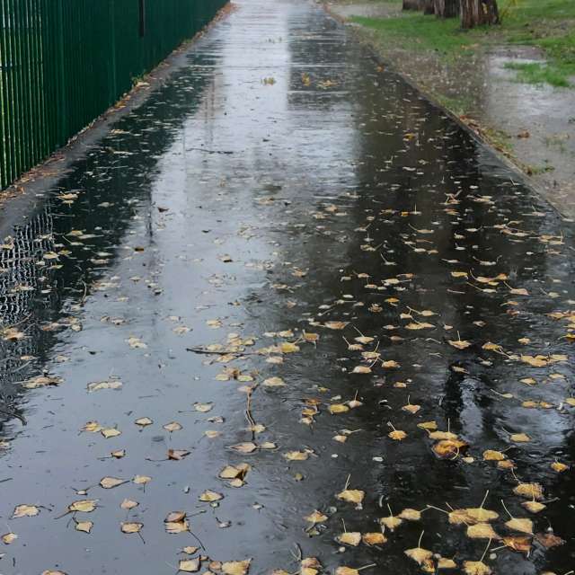 GREENE. Weather forecasts with beautiful photos by marimouse3 Photos in World