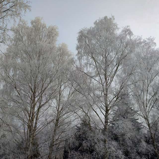 Fotos Clima. Previsões do tempo com lindas fotos de drollted em Česká Třebová