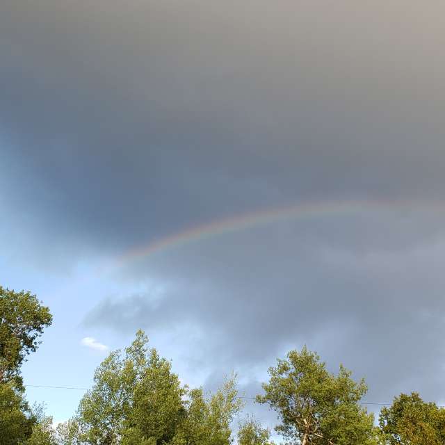 AnnaHakesの美しい写真による天気予報