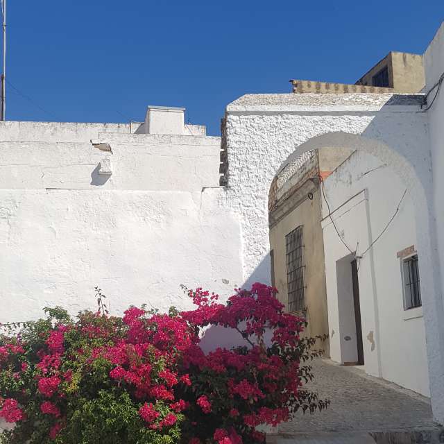 Old. Weather forecasts with beautiful photos by deliagt Photos in Arcos de la Frontera