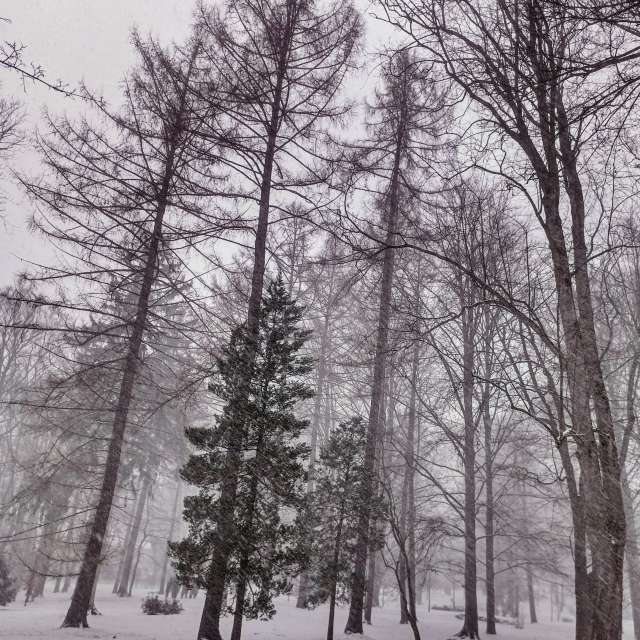 Wettervorhersagen mit schönen Fotos von Kripo