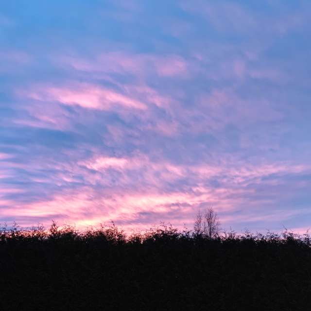 Weather forecasts with beautiful photos by newgen