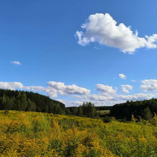 Lush. Weather forecasts with beautiful photos by Aleksei Photos in Tula