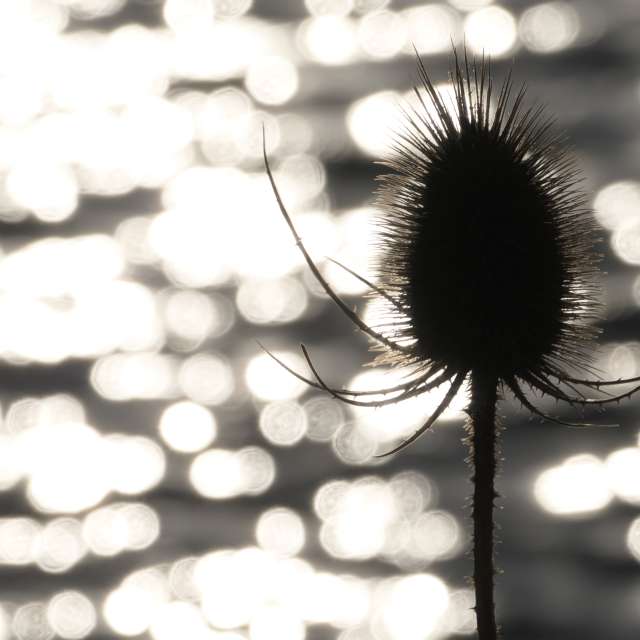 Pronósticos del tiempo con hermosas fotos de Richtoldi