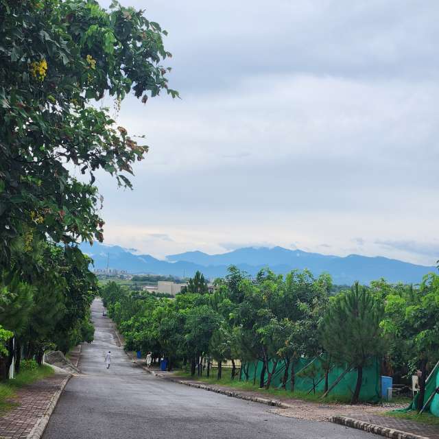 天气预报，带Rukh-08-08精美的照片