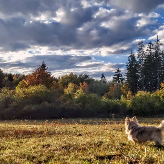Weather forecasts with beautiful photos by hejpetrpepa