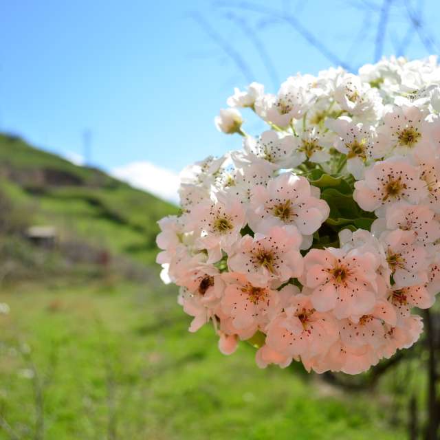 Fotos sobre el clima en Mundo. Pronósticos del tiempo con hermosas fotos de Andrey72