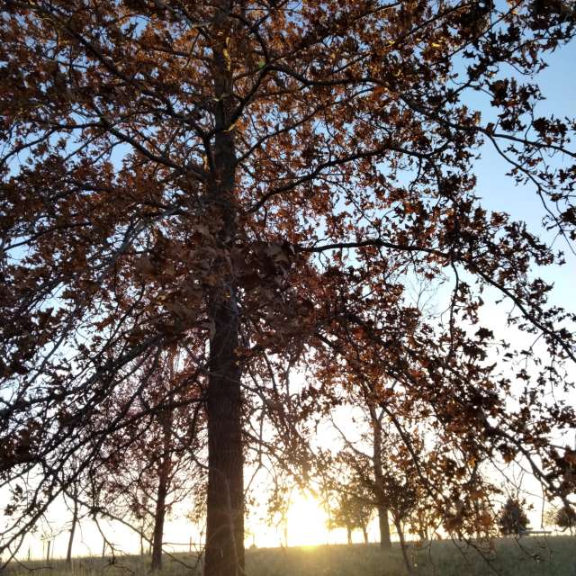 Weather forecasts with beautiful photos by Kate72