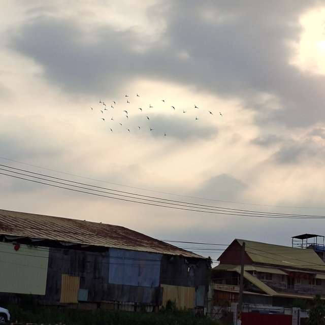 Fotos Jogando. Previsões do tempo com lindas fotos de Wen-ya Huang em Kaohsiung City